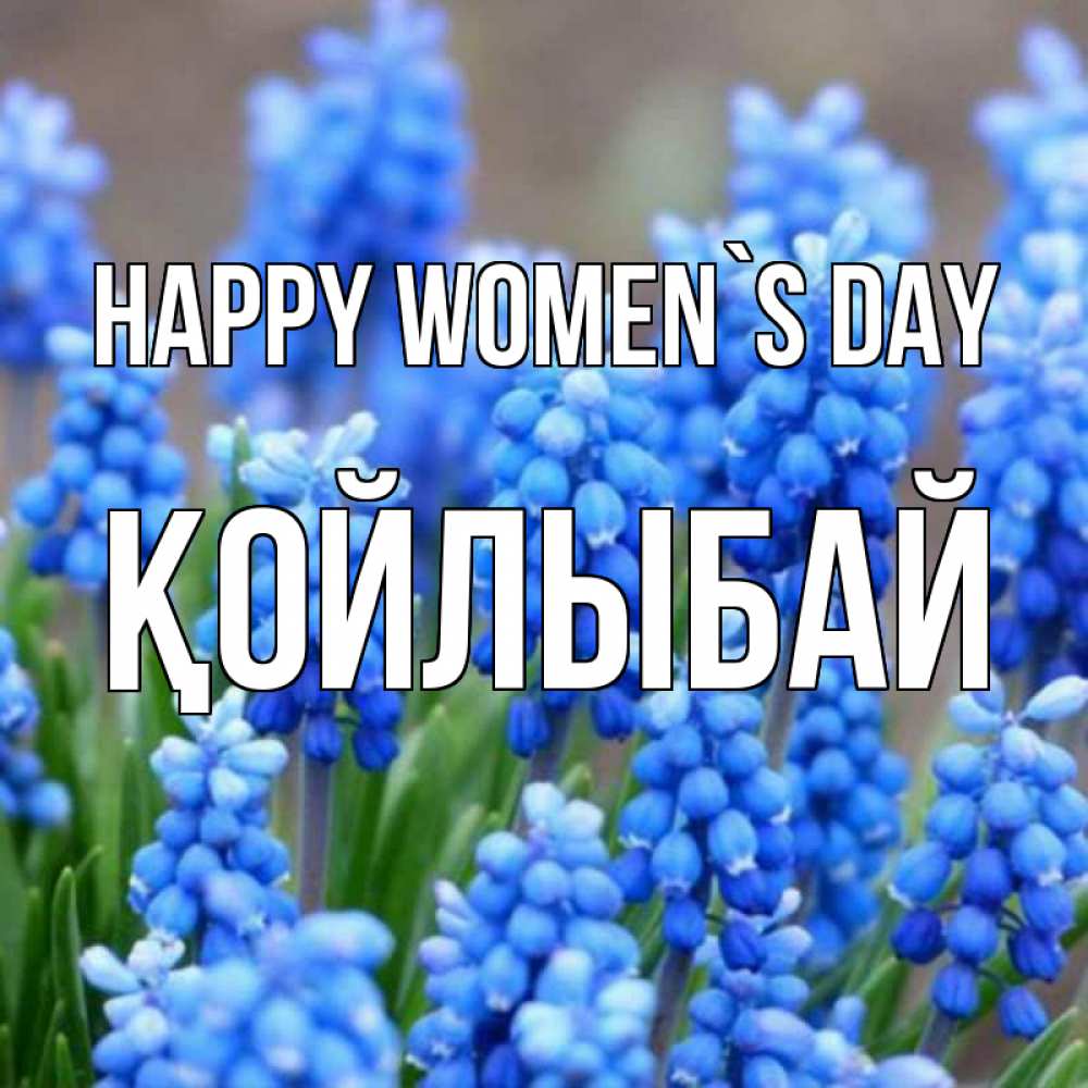 Greetings card с именем, Қойлыбай happy women`s day Поздравительная открытка для женщин с цветами на праздничную дату Greetings with text for free download 